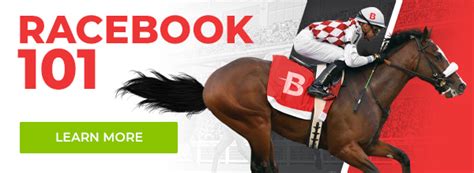 Online Racebook, Bet on Horse Racing at BetAnySports Racebook